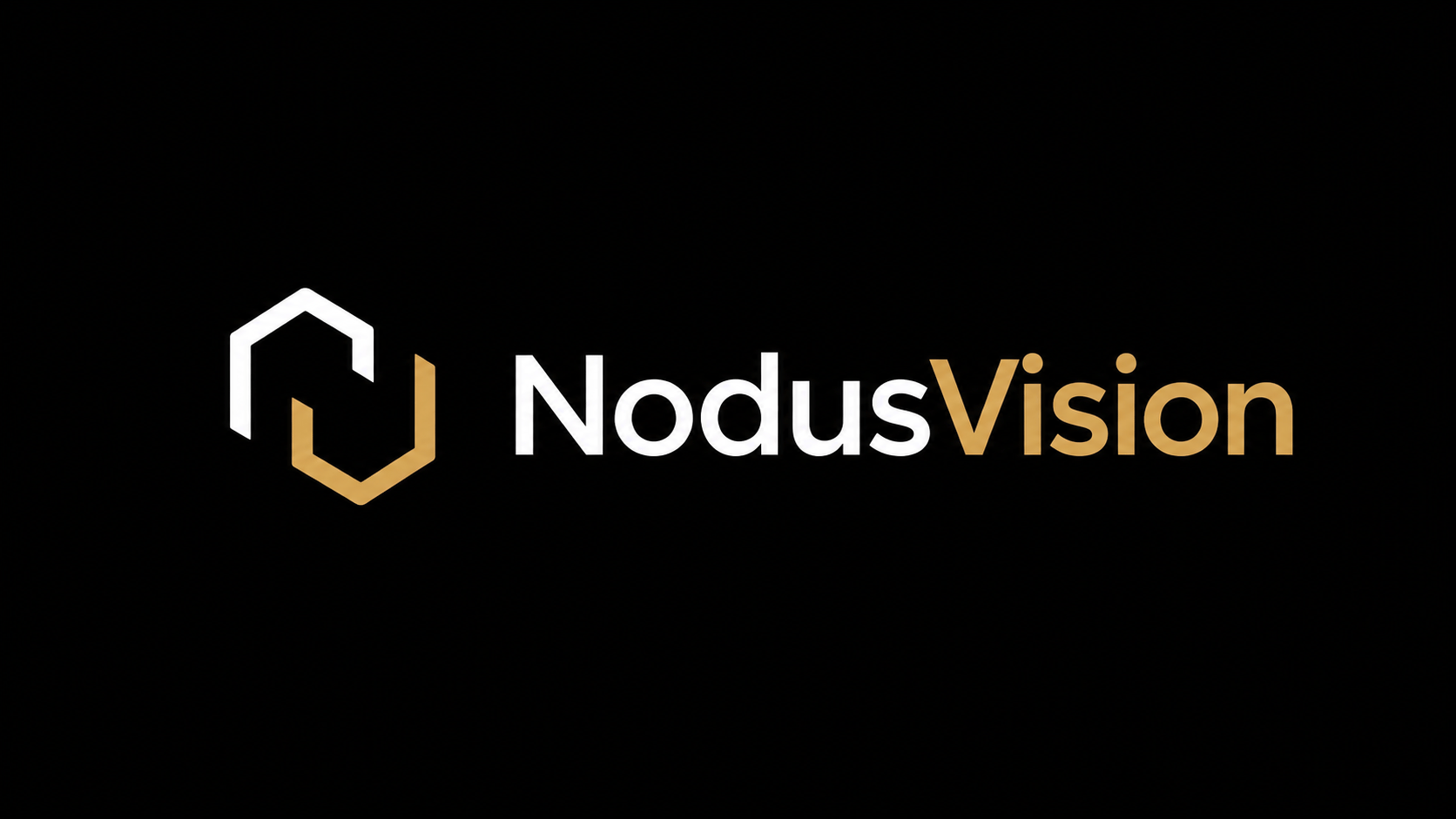 NodusVision